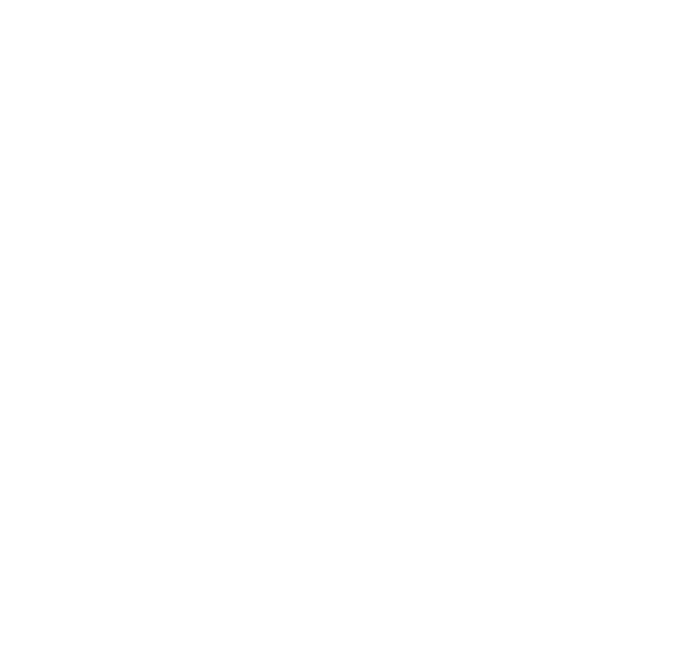Ballyfeeny-Logo-web-white Ballyfeeny Green Energy Logo